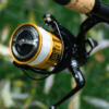 WIN a Daiwa 20 GS BR LT Reel of your Choice