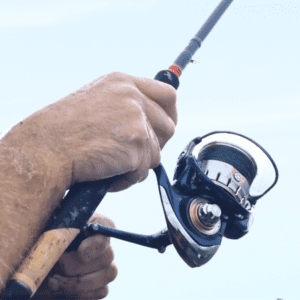WIN a Daiwa 18 TDR 3012 QD Reel