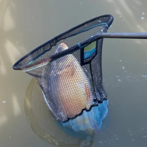 WIN a Preston Response Carp Landing Net Handle and Match Landing Net